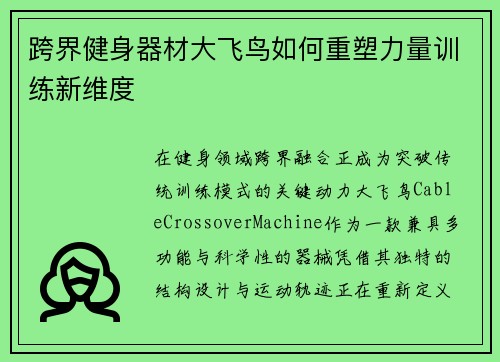 跨界健身器材大飞鸟如何重塑力量训练新维度