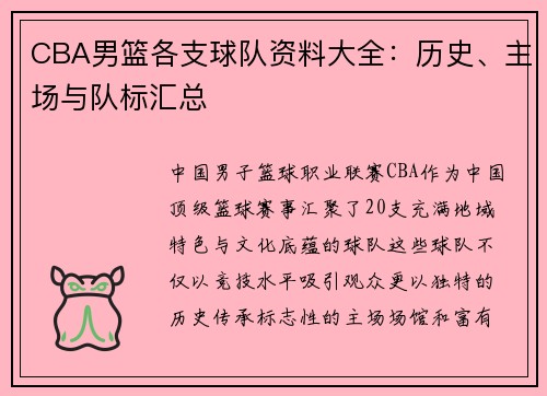 CBA男篮各支球队资料大全：历史、主场与队标汇总