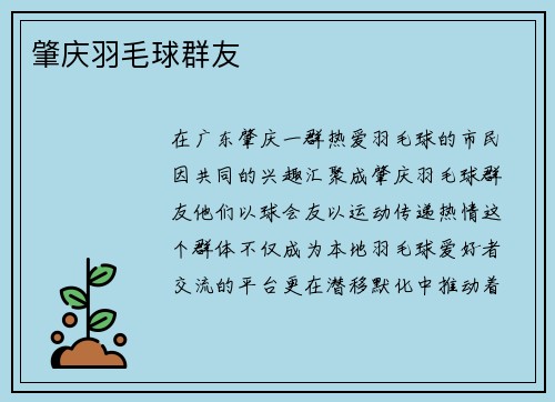 肇庆羽毛球群友